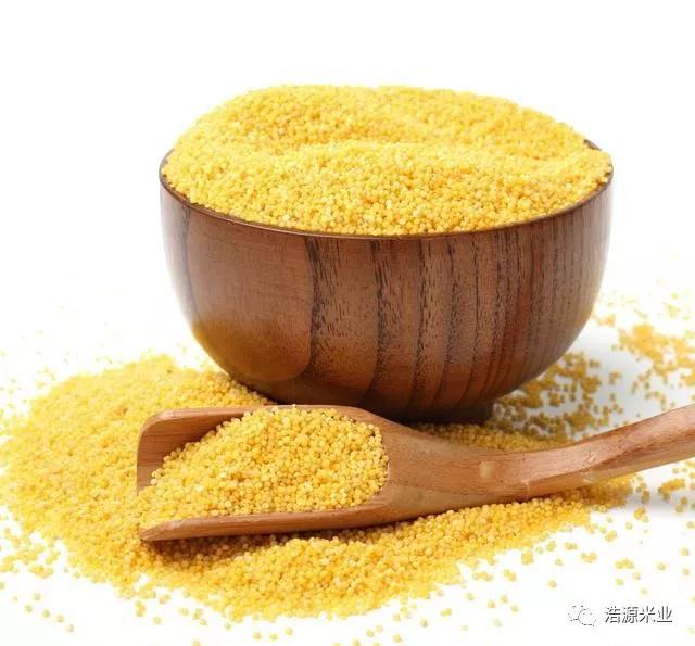 蒸小米要泡多久时间,小米和肉怎么蒸