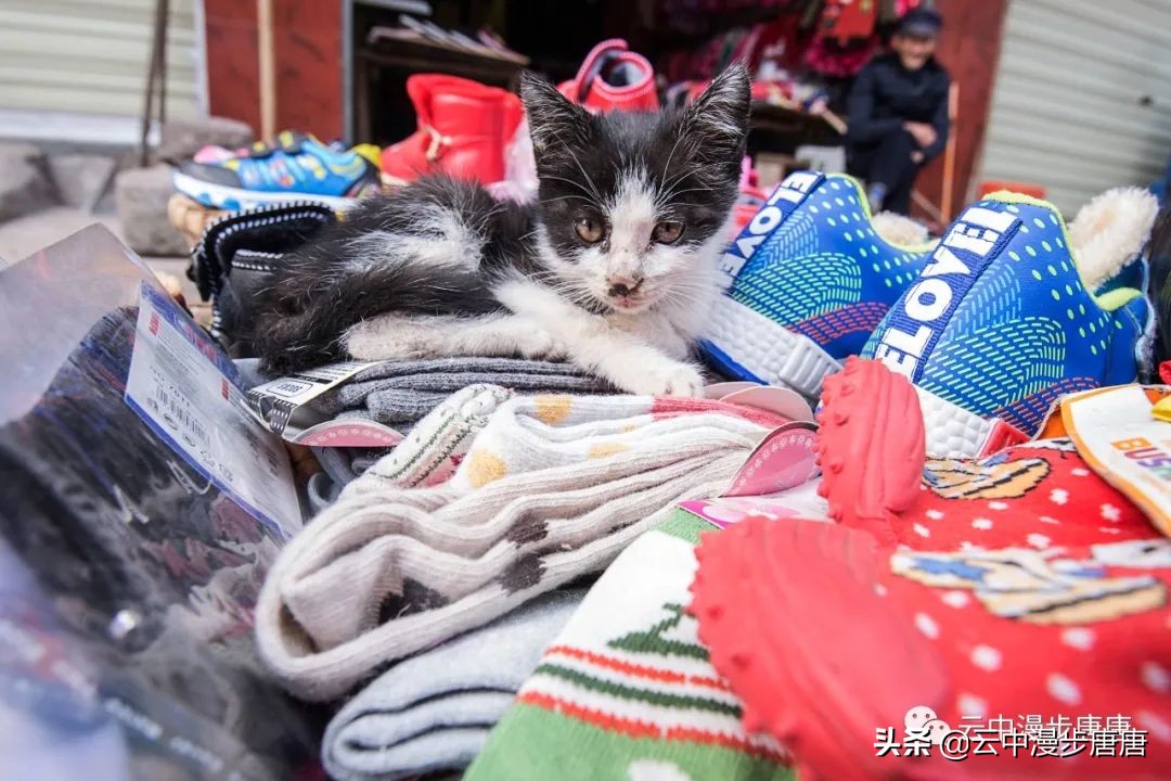 岳池坪滩风景区,行走的风景岳池