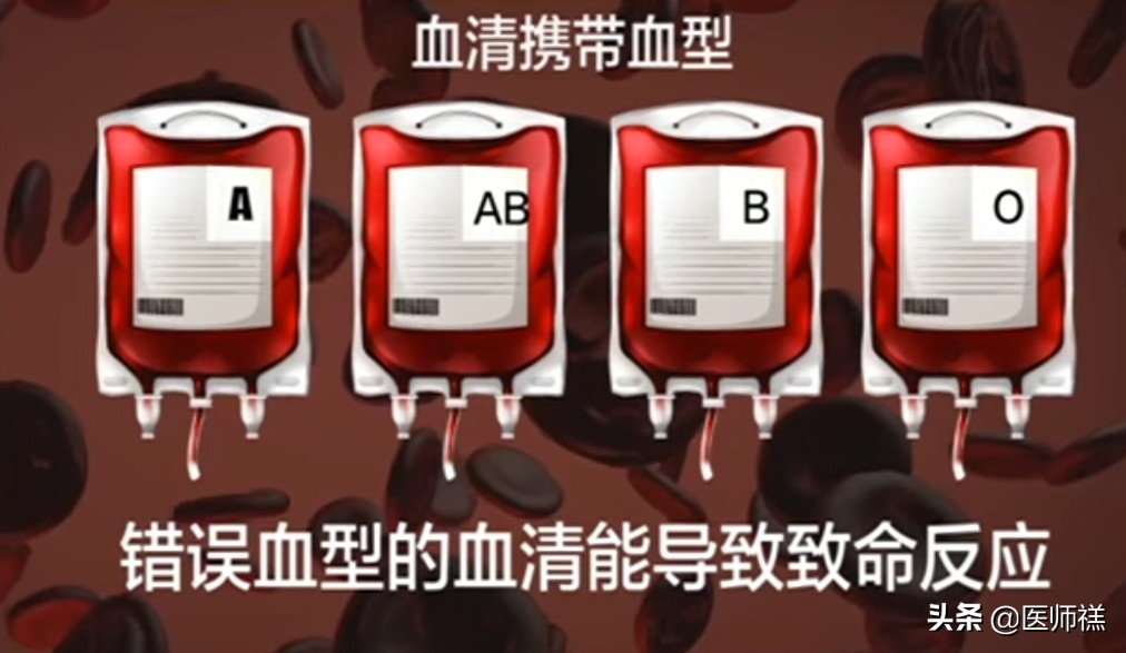 医学免疫知识点大全,医学术语图解指南书