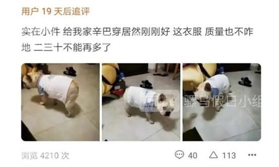 小红书上的“BM女孩”，快把我看吐了