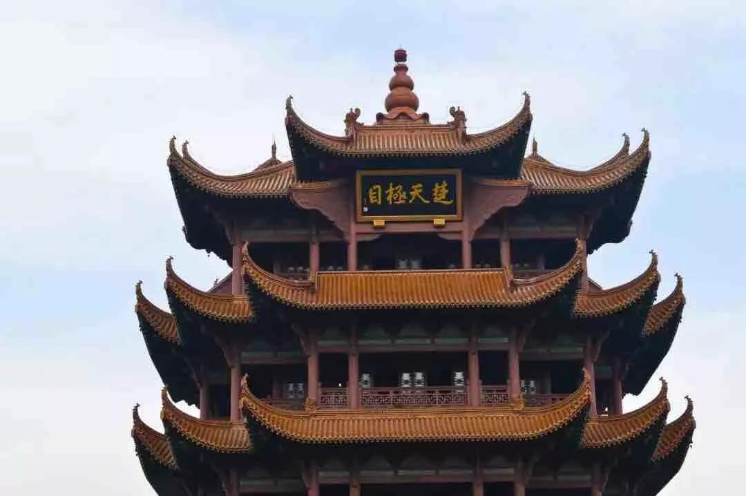 钱币收藏价值梅花五角钱,钱币收藏菊花一元2000年