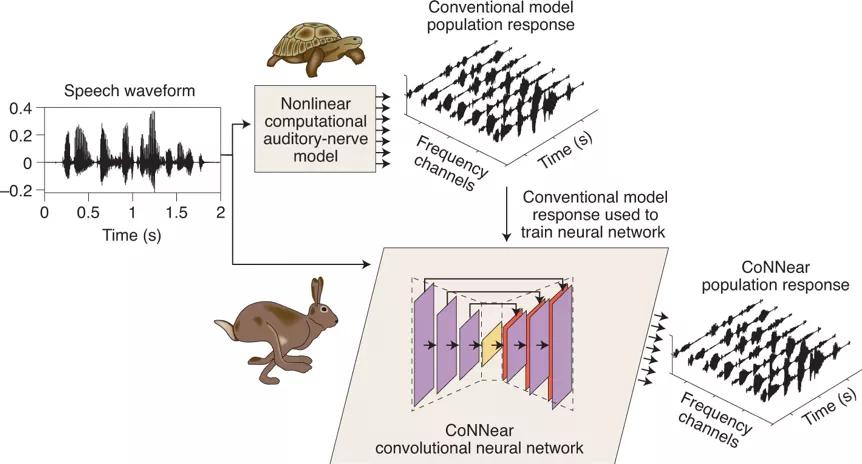 人工神经网络应用语音生成和识别,基于神经网络的语音识别