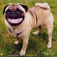 原来微信昵称叫什么名字,微信昵称有哪些禁忌和讲究