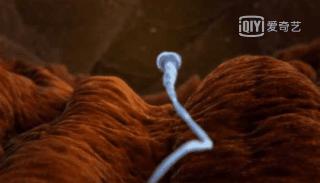 人体的奥秘你知道多少,人体的奥秘不简单