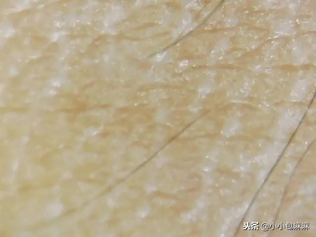 安全平价的国货宝宝霜,网红宝宝霜哪个牌子好用