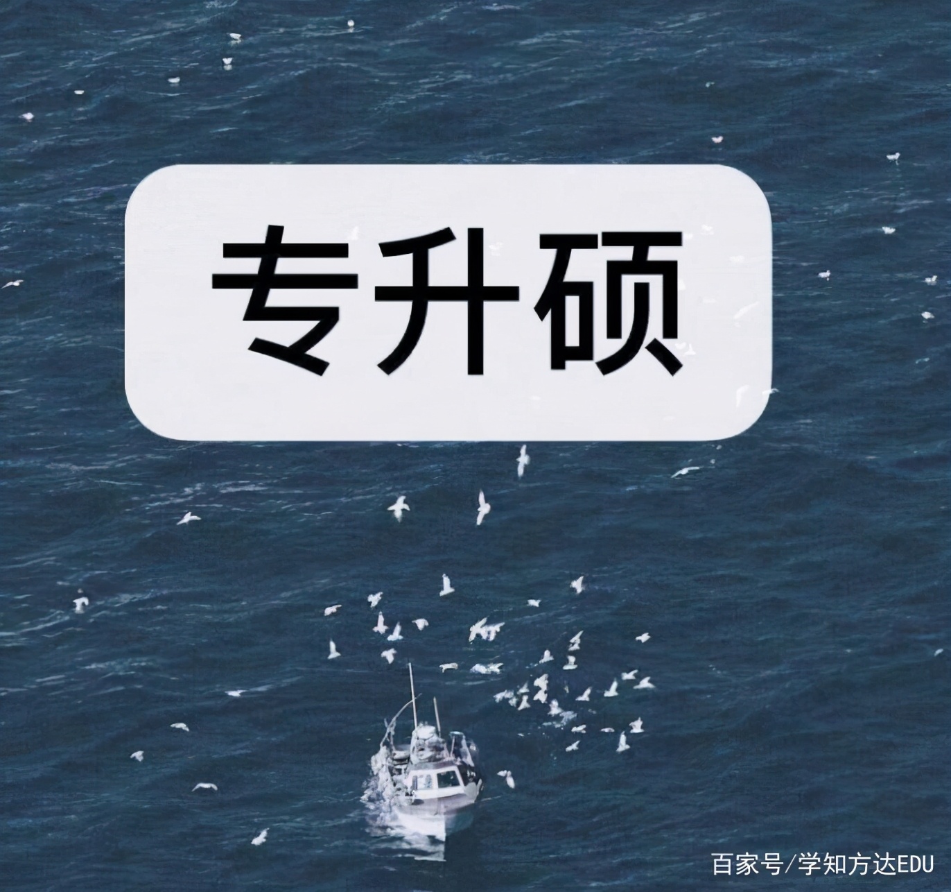 关于专升本所要知道的,有关专升本专业的信息