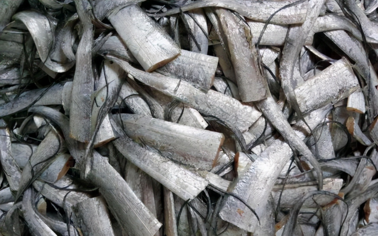 挑选带鱼的时候最好选择黄眼带鱼,选带鱼要选黄眼睛还是小眼睛