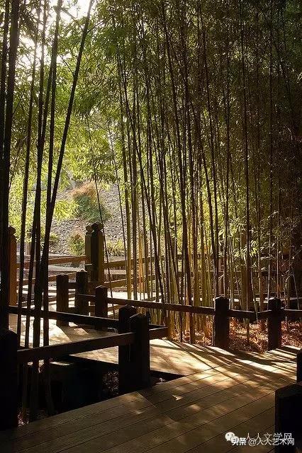 人人图文,人人贷最新事件进展