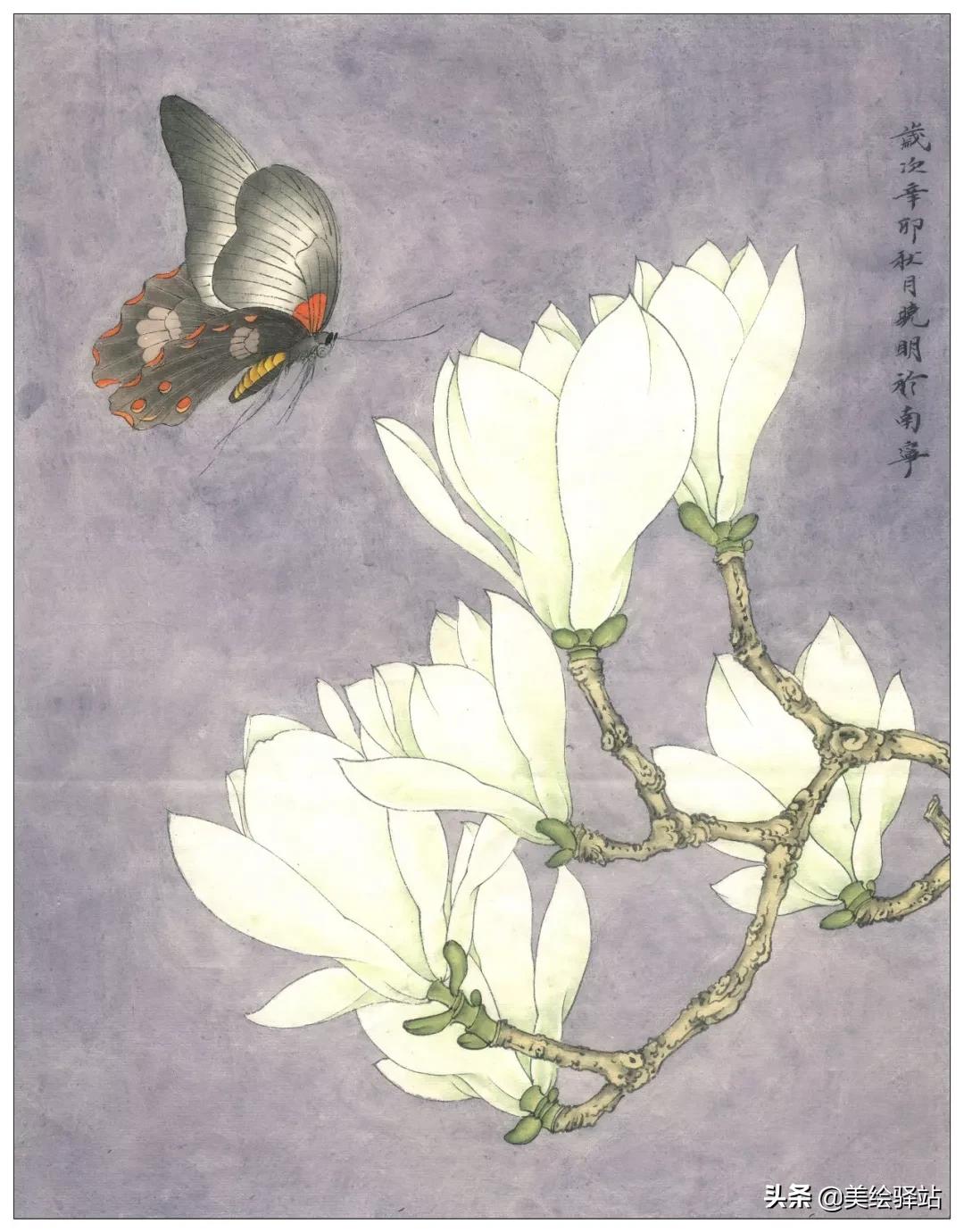 「教程」李晓明《玉兰蝴蝶》绘制步骤