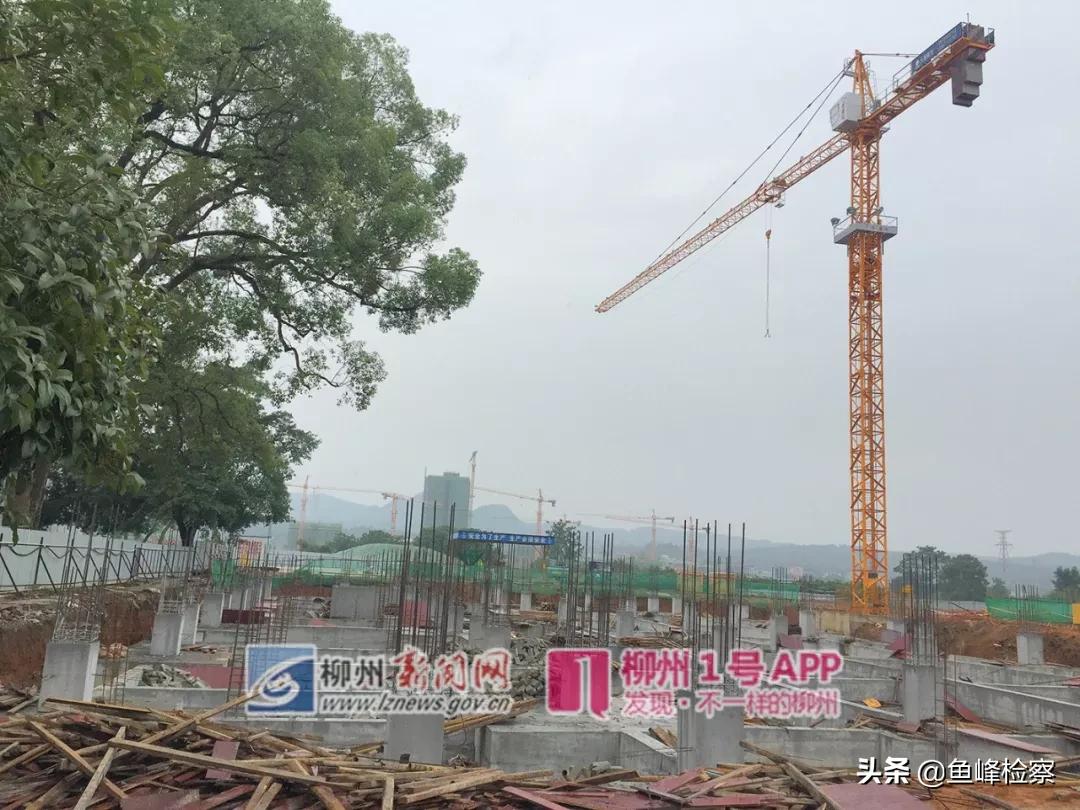 柳州鱼峰区体育园最新消息,柳州市体育园规划