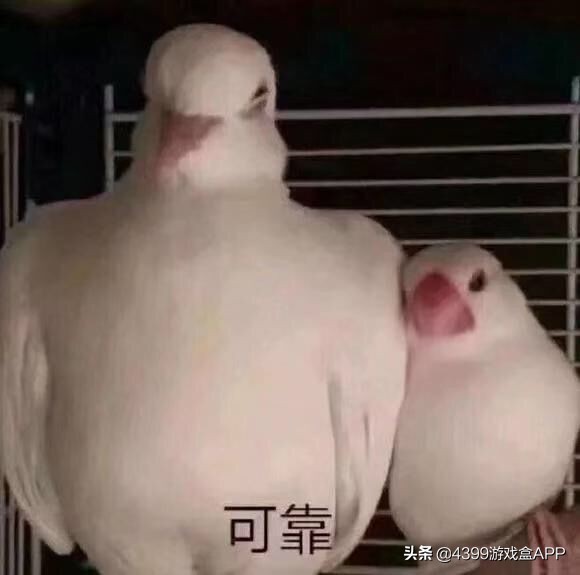 雪鹰领主官网16服公告,雪鹰领主最新版本攻略