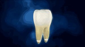 限时疯抢全国包邮,限时抢购全部68折优惠