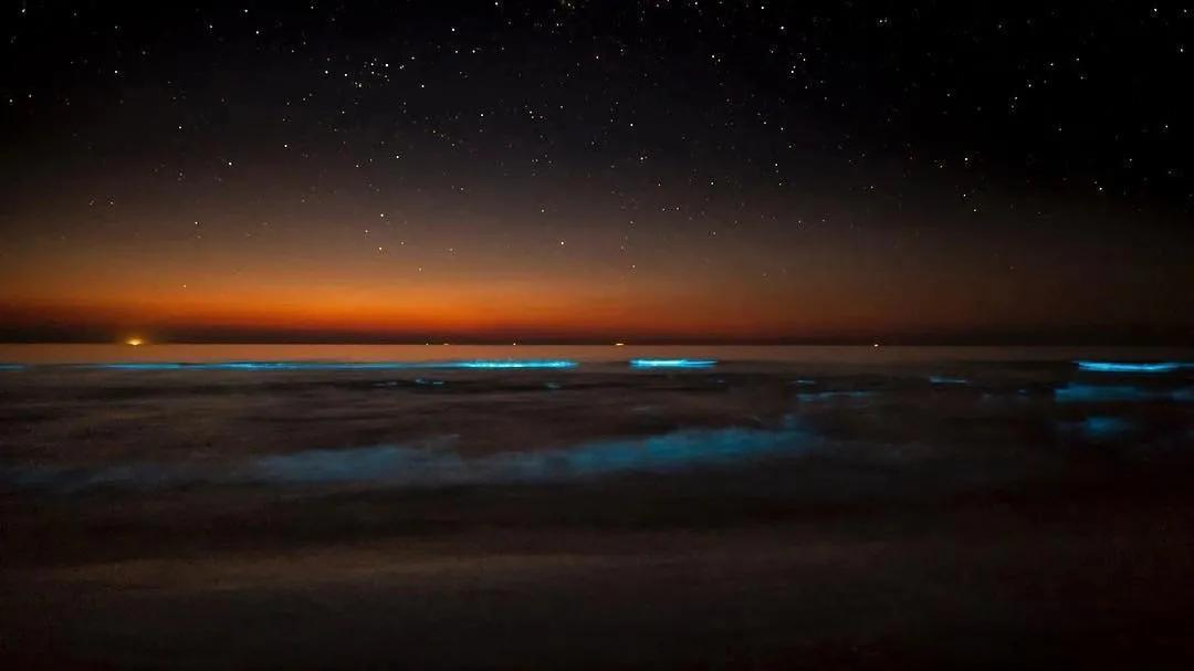 徕卡sl系统,徕卡sl入门