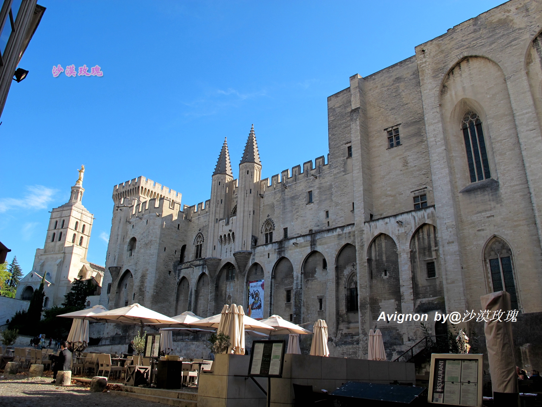 普罗旺斯有浪漫的薰衣草,普罗旺斯未开的熏衣草
