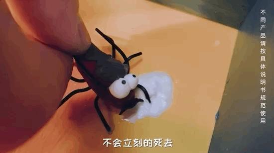 如何灭绝室内蟑螂虫卵,消除老房子蟑螂的方法