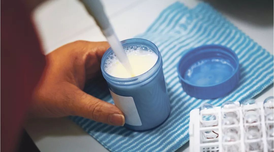 哪种蛋白质增强免疫力效果好,增肌最好的蛋白质是什么