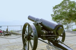 海上花园鹭岛行,海上花园鹭岛城市