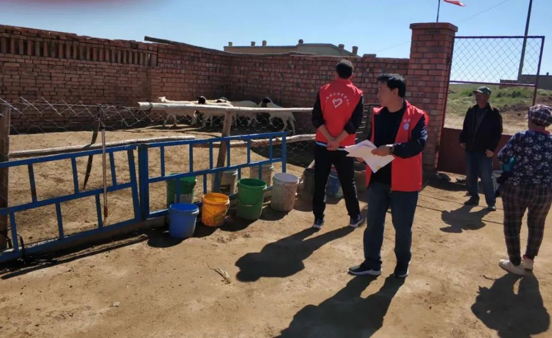 固阳县金山镇新时代文明实践,喜报固阳县文明创建再添荣誉