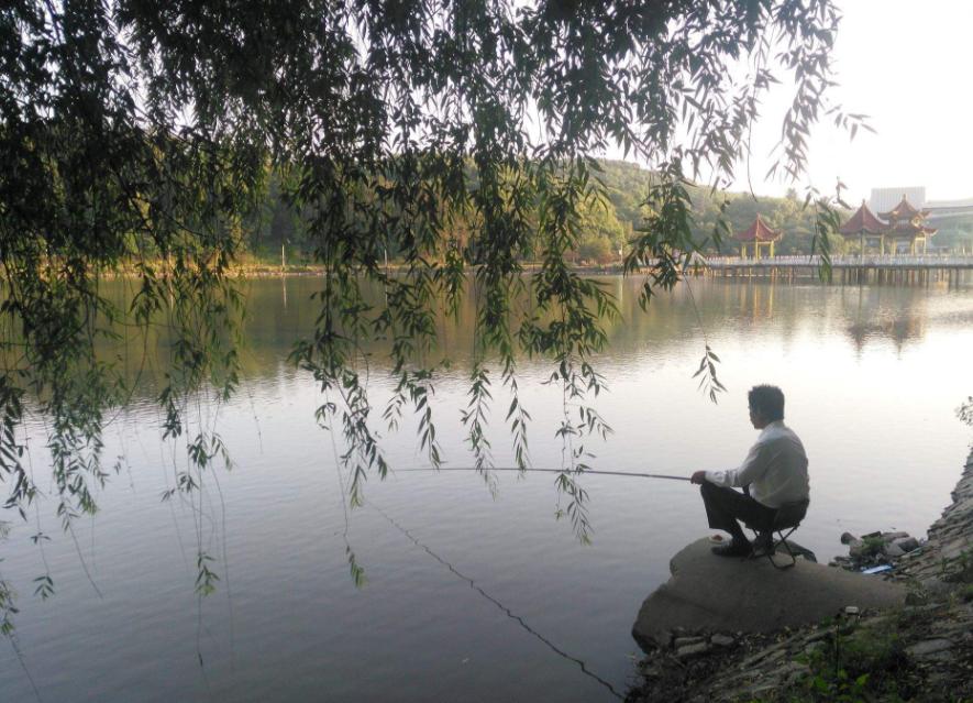 钓鱼的所有学问图片,钓鱼最有学问的说法
