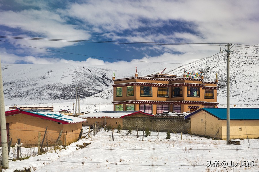宸濊タ楂樺師澶ц崏鍘熺殑璺笂鐓х墖,闈掕棌楂樺師涓婄殑鑽夊師闆北椋庢櫙