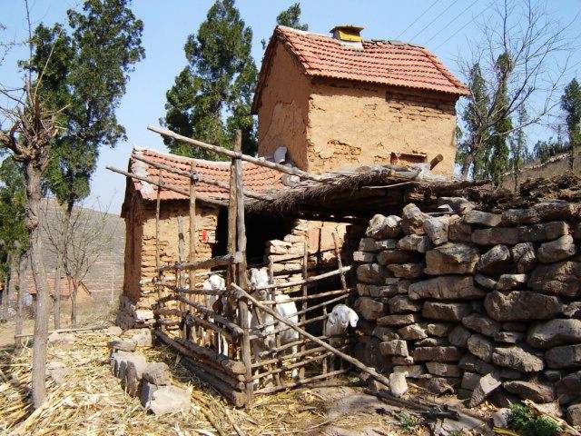 生产队种烟,生产队时代农民