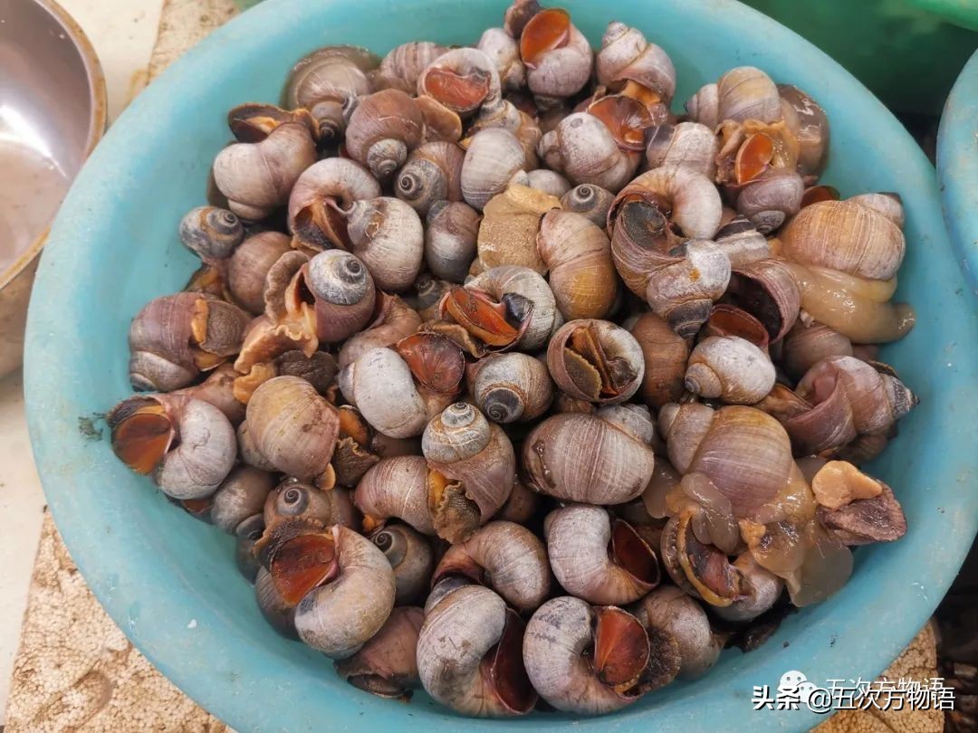 青岛菜市场分布图,青岛海鲜市场价格表今日