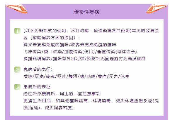 猫只喂火腿肠能活吗,猫因为脂肪肝导致完全不能进食