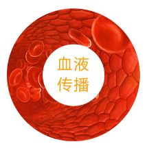 香港快速检测平台,香港快测平台