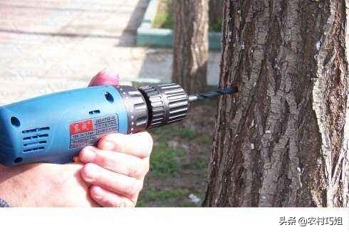 果树打针输液器,果树打针怎么打