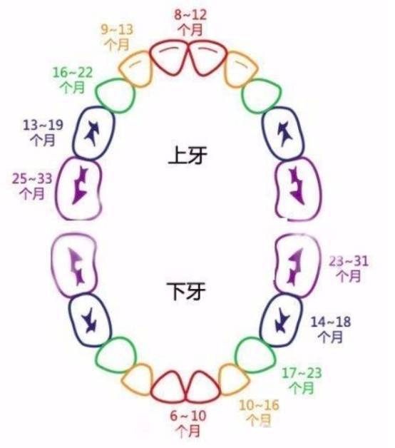小孩乳牙有龋齿需要治疗吗,孩子乳牙门牙有点龋齿需要补牙吗
