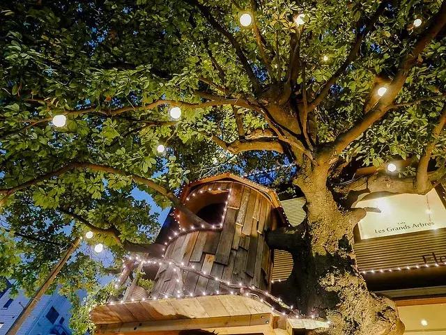 日本最有名的花店,日本青山花店