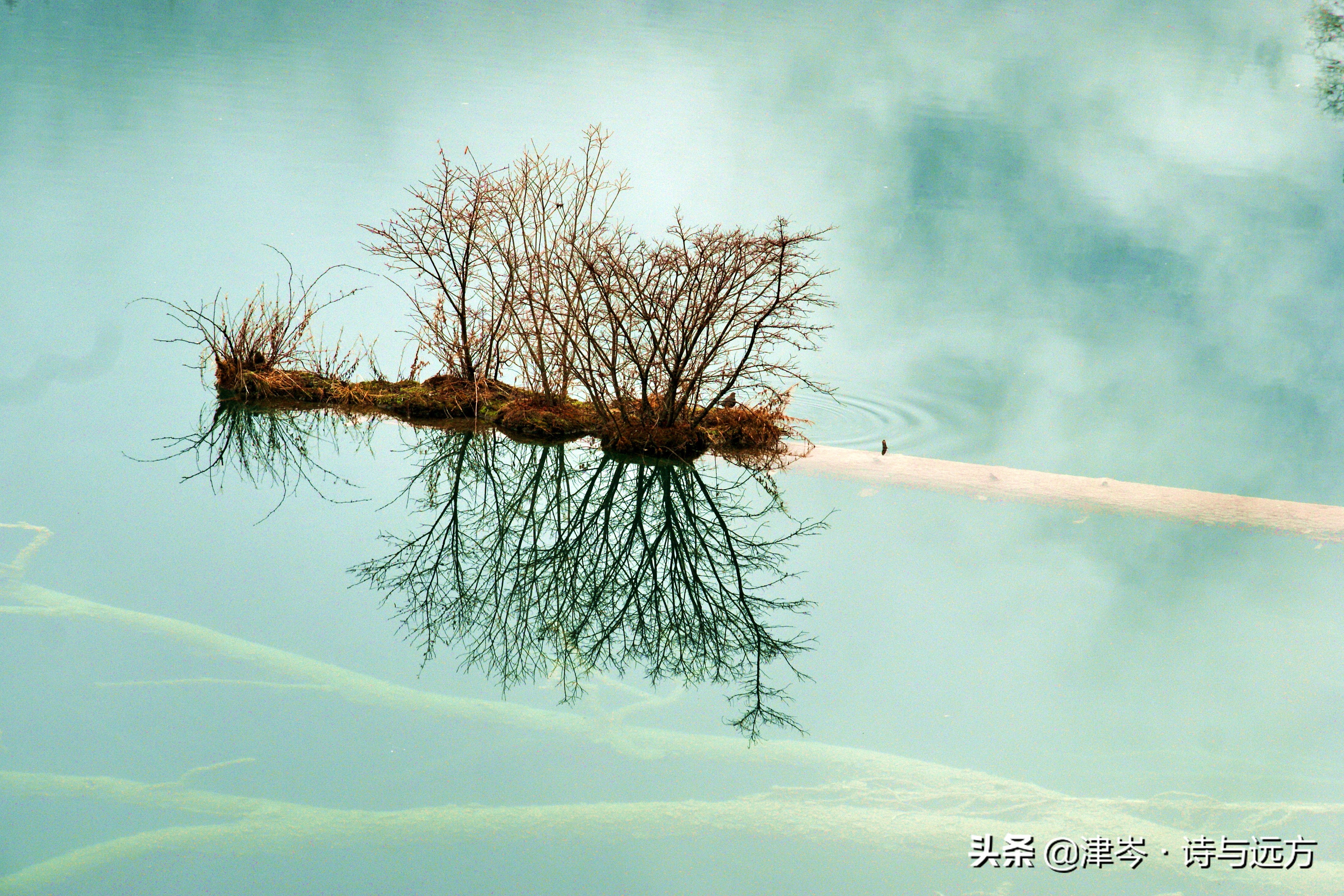 人生必须要去的景区,人间仙境九寨沟一生必去的美景