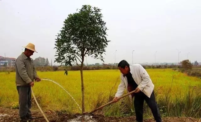 园林景观工程施工前的准备,园林景观基础施工流程解析