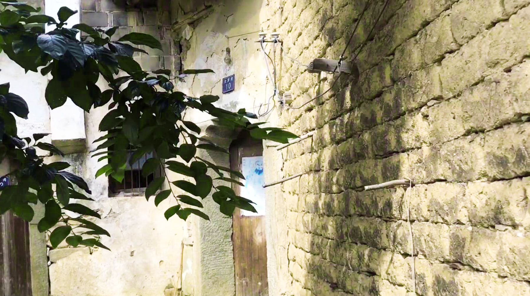 武汉周边最美古村一日游,旅游武汉这里藏着一座秘境森林