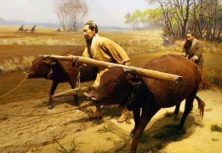 肤白才是美吗,中国人为什么白皮肤白头发