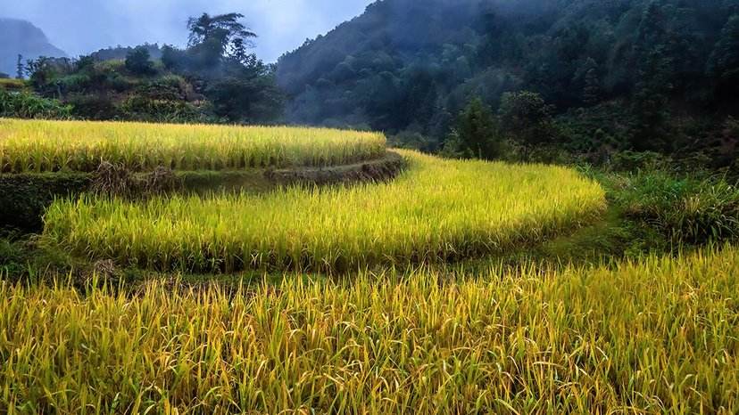 吸天地之灵气取日月之精华,人要吸收天地灵气吗