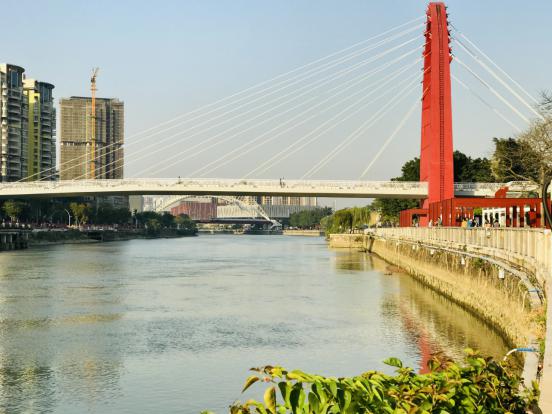 江门新围附近网红打卡点,江门好玩的地方网红打卡