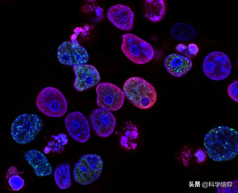 地球生命是如何诞生的?生命有多复杂?生命可以人工制造吗?