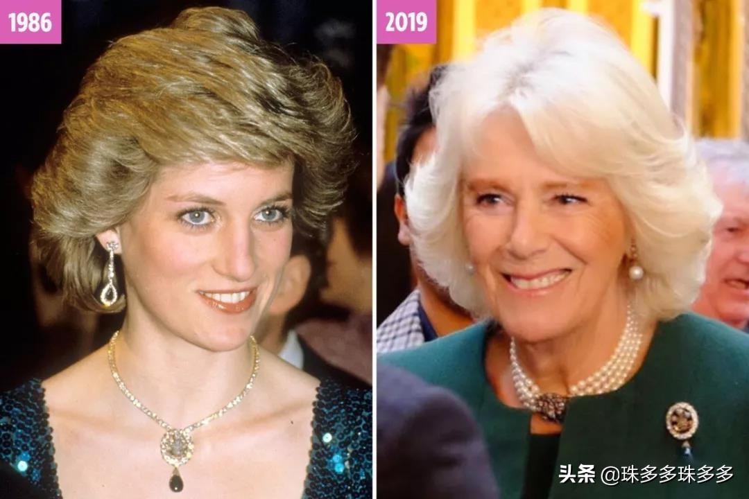 英国王室叶子胸针,威尔士胸针