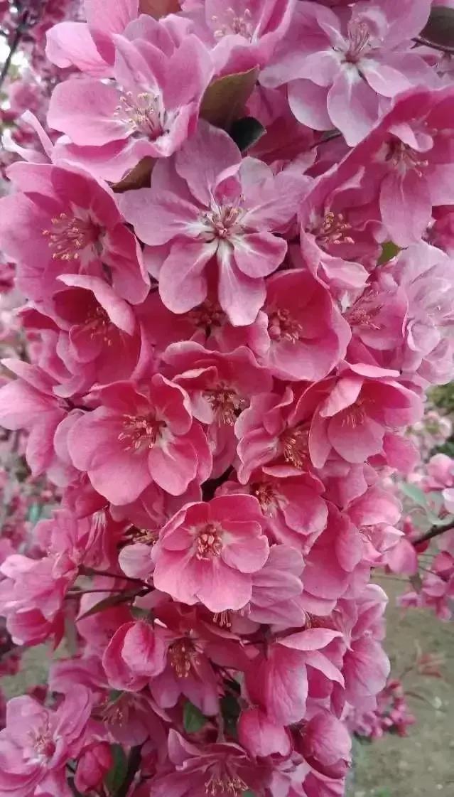 人睡着后不盖被子会着凉吗,人睡觉时为什么要枕枕头