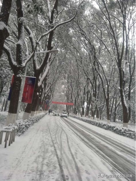 叮咚您有一份祝福请查收音频,叮咚您有一份礼物请查收片头