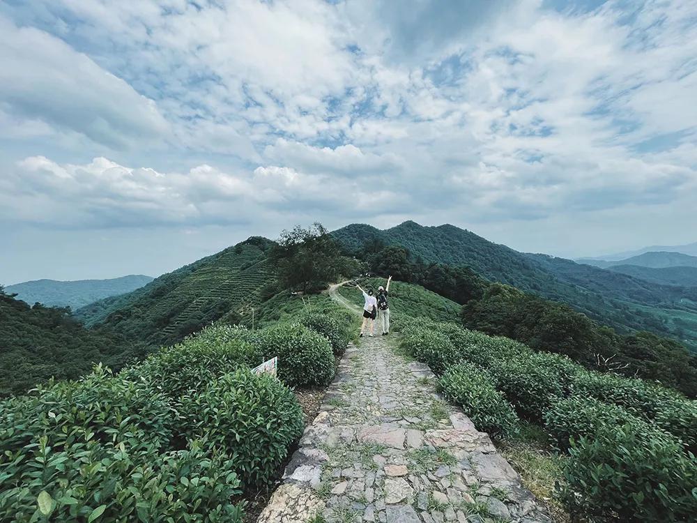 银杏古道自驾游攻略,江浙沪绝美古道苏州