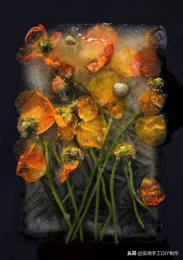 鲜花摄影作品欣赏,高清鲜花美图