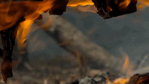 豆瓣2.5分神作,豆瓣9.5分的神作不该如此小众