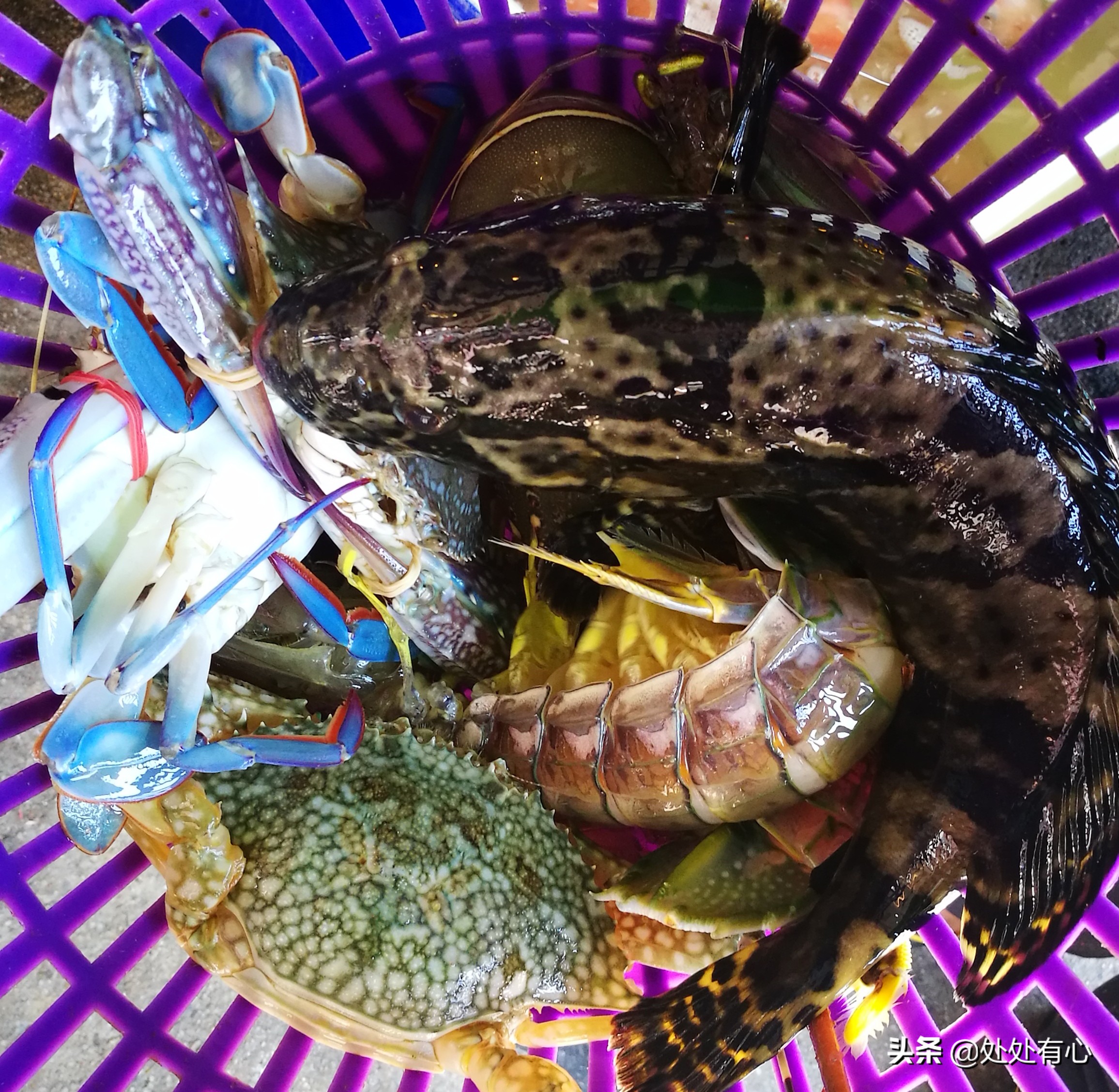 泰国普吉岛旅游全攻略美食,泰国普吉岛攻略之吃货必备