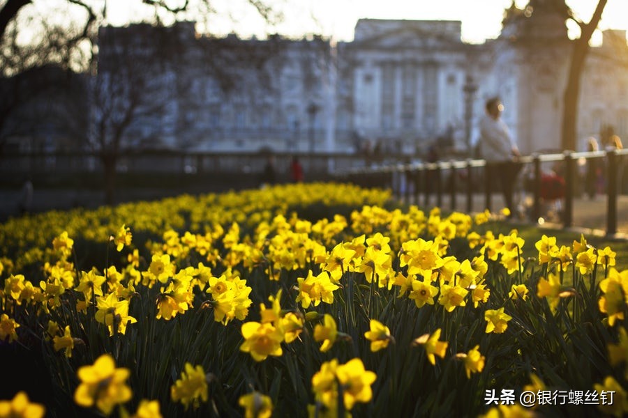 p2p平台退出钱还能要回来吗,p2p倒闭了钱还要还吗