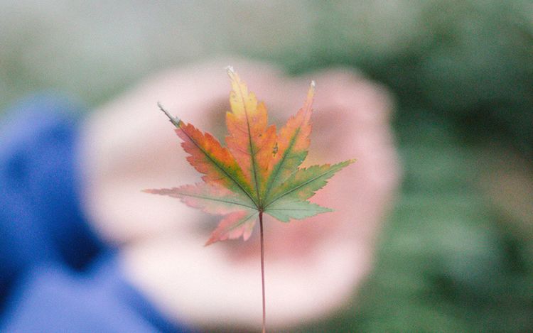 注定走向人生巅峰的四大星座,拥有超强潜力股的四大星座