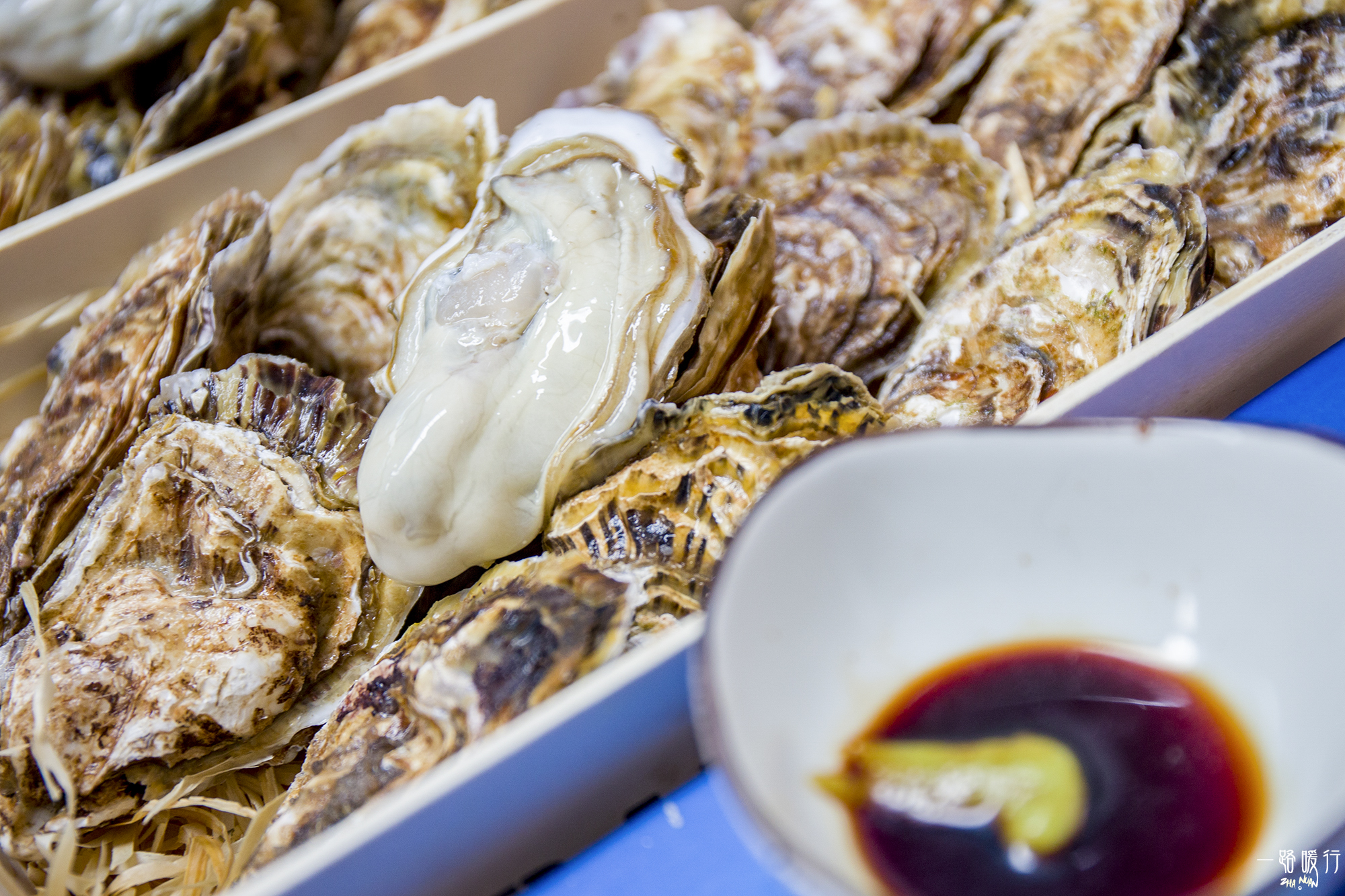 乳山海蛎子地理标志,乳山哪里的海蛎子最正宗