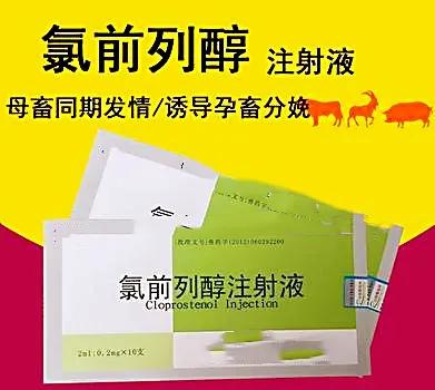 这样使用氯前列烯醇催产，500头母猪24小时分娩率高达95%