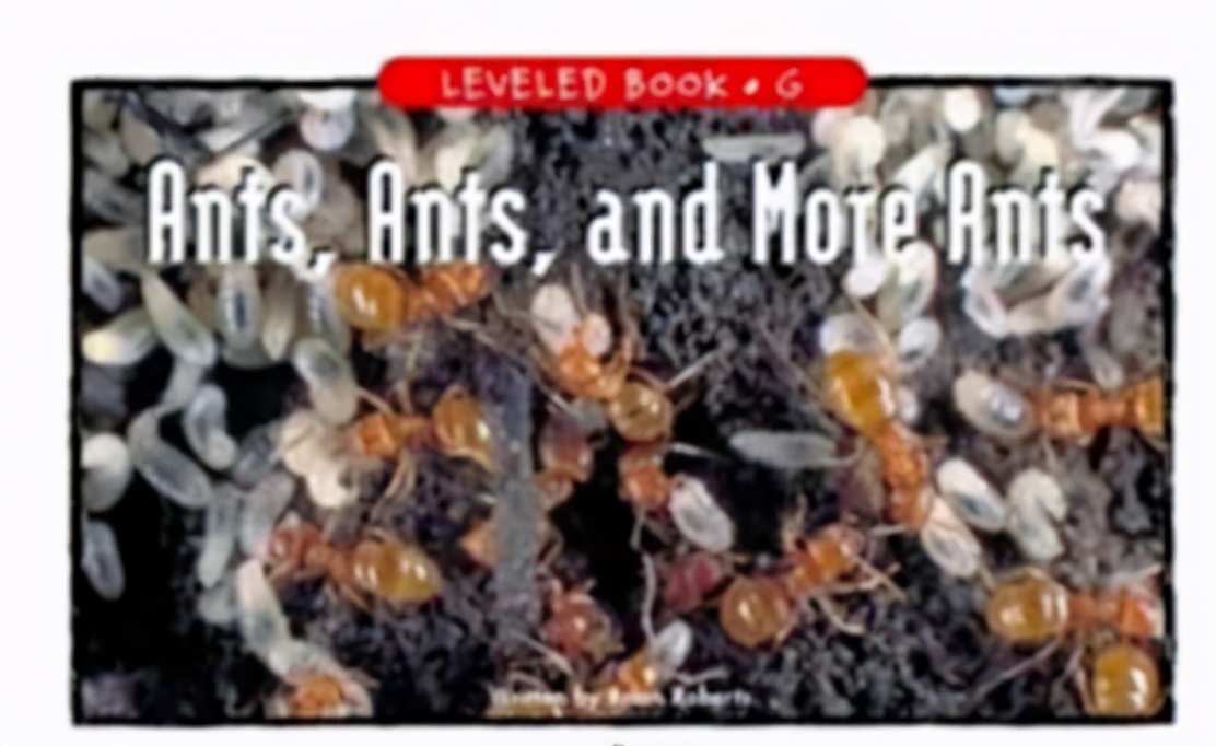 raz启蒙2岁,raz启蒙有用吗